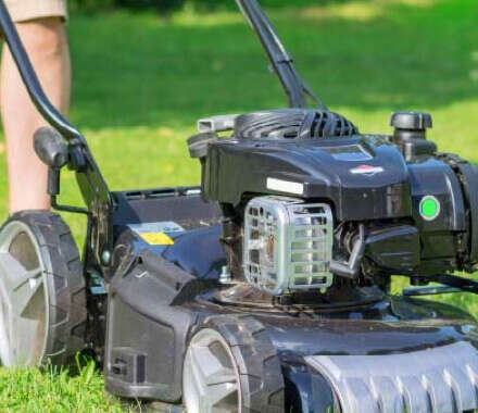 Alles für den Garten günstig kaufen bei raiffeisenmarkt.de